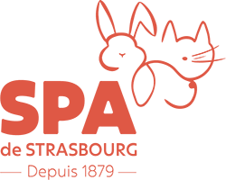 https://hara-consulting.com/wp-content/uploads/2024/02/logo-spa-strasbourg.png